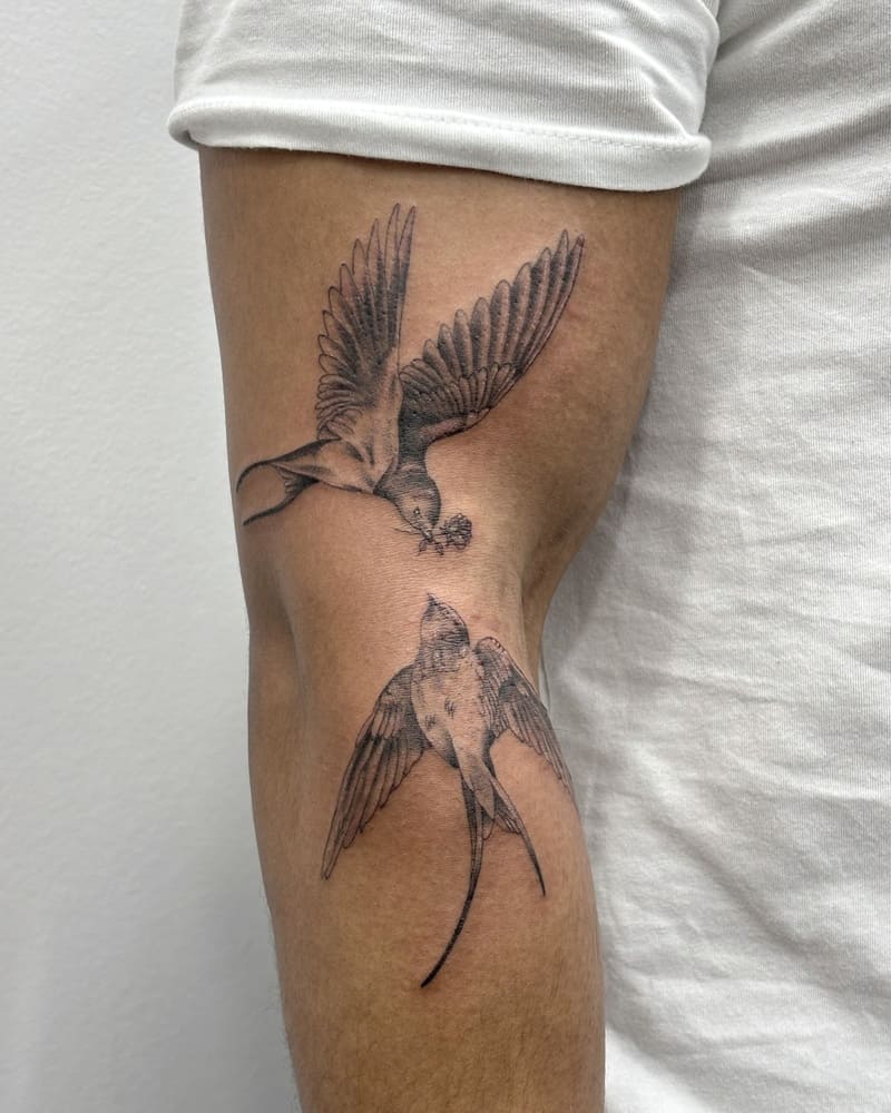 Double feathered swallow forearm tattoo design for men
