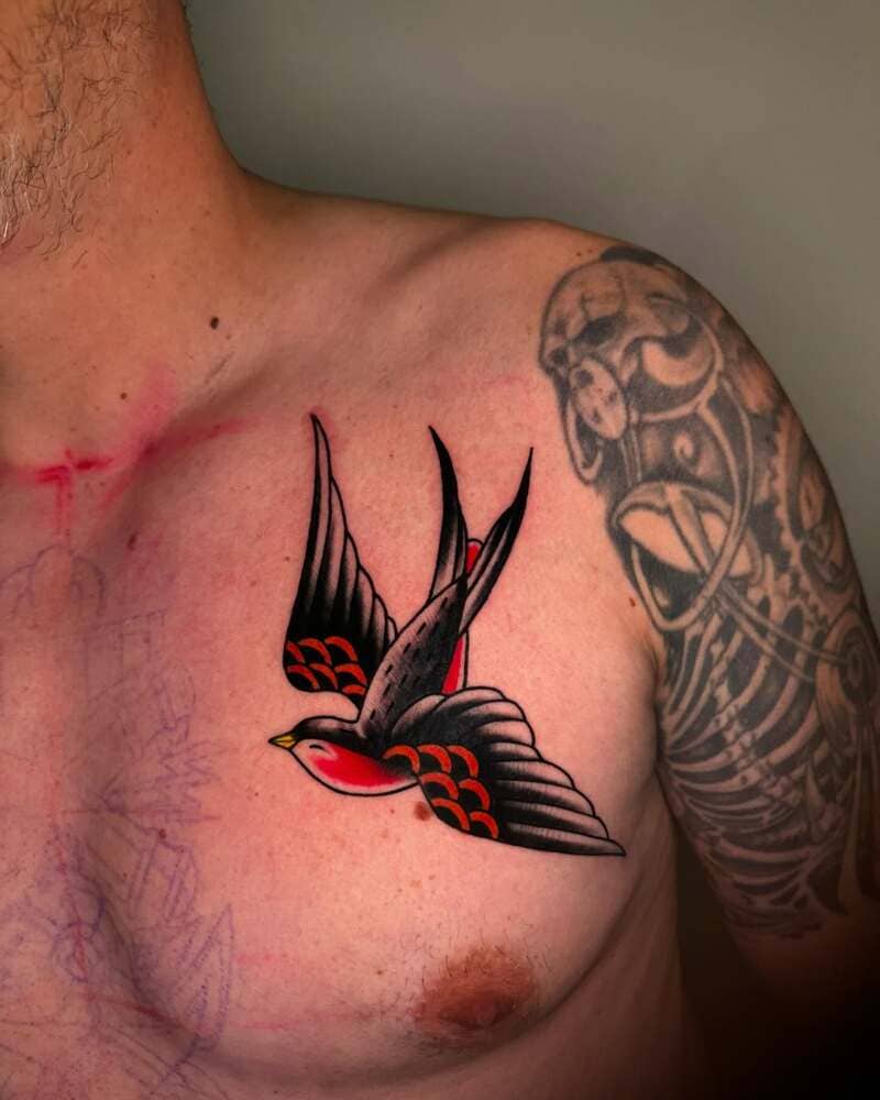 Neo traditional colored swallow chest tattoo design for men