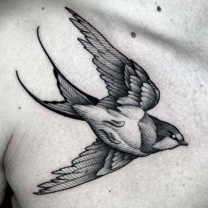 Detailed wing swallow shoulder tattoo design for men