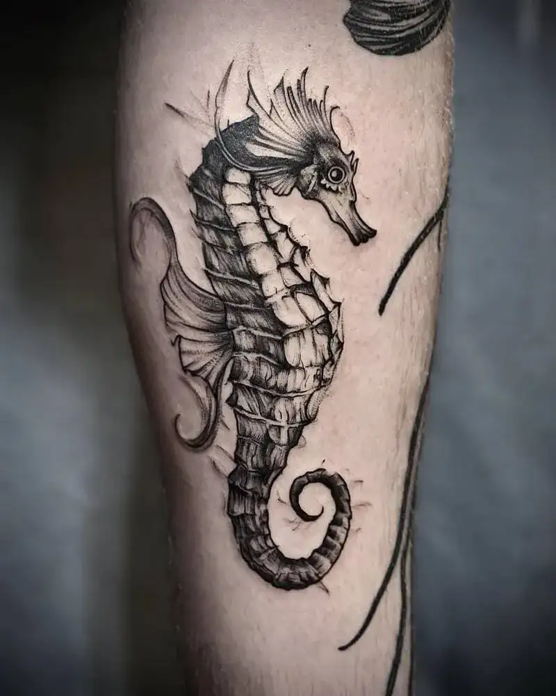 Detailed black and gray seahorse ocean tattoo for men with stippled shading