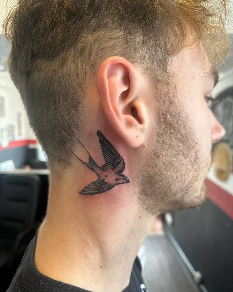 Behind ear swallow tattoo design for men